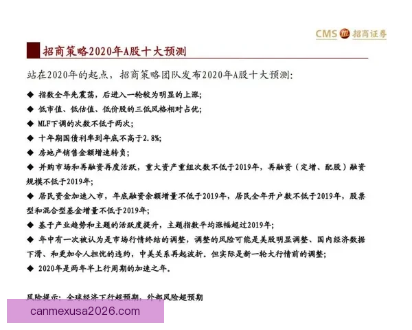 世界杯竞猜盘口深度解析与精准赛果预测策略指南
